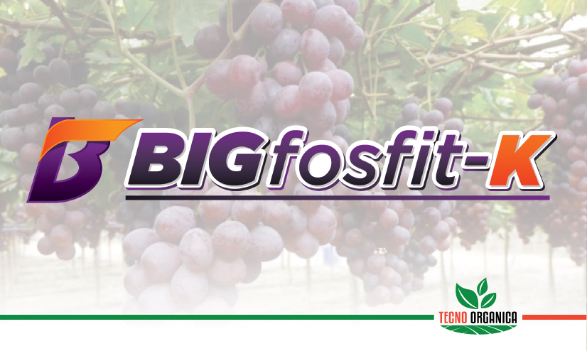 Bigfosfit-K
